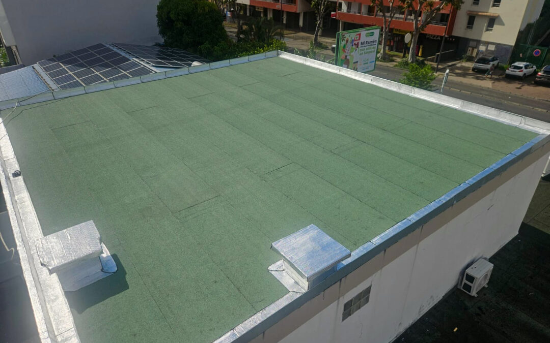 IMAGE 10