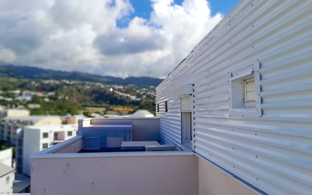 IMAGE 6