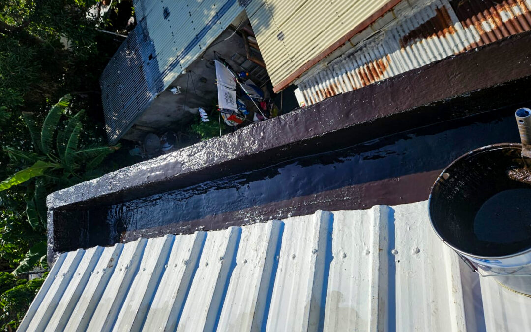 IMAGE 7