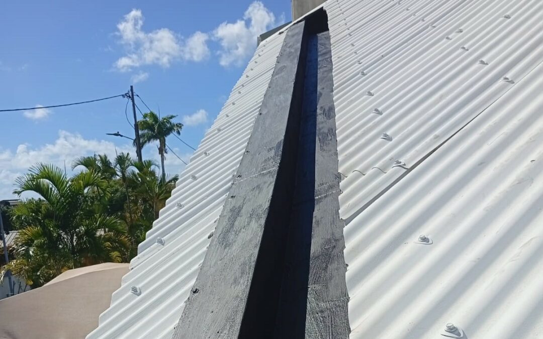 IMAGE 8